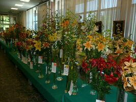 Foto: Dr. Jörg M. Giffei